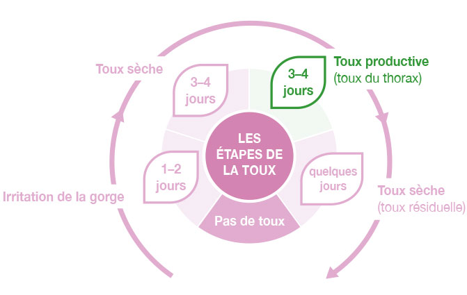 Graphique: Étapes de la toux